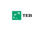 TEB